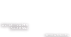 Todas Florestas Importam