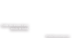 Todas Florestas Importam