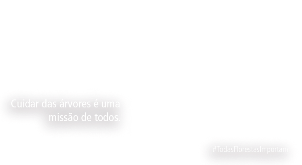 Todas Florestas Importam